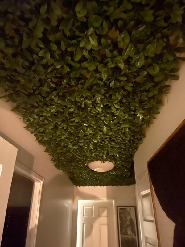 Lattice on the ceiling! Looks amazing.