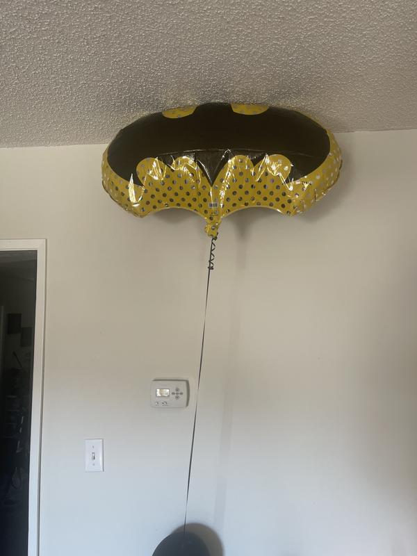 Photo - commentaire&nbsp;1