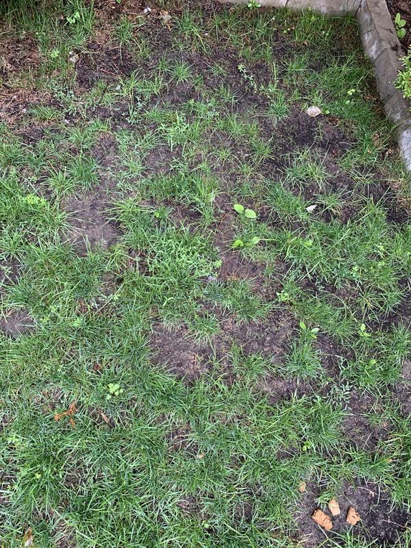 Photo - commentaire&nbsp;4.