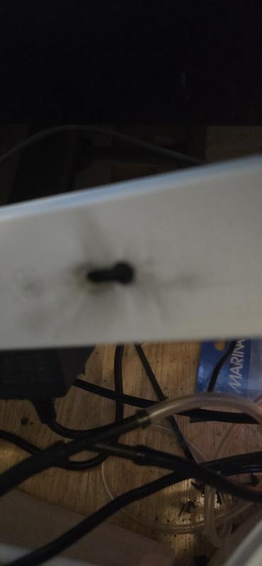 Review photo 3
