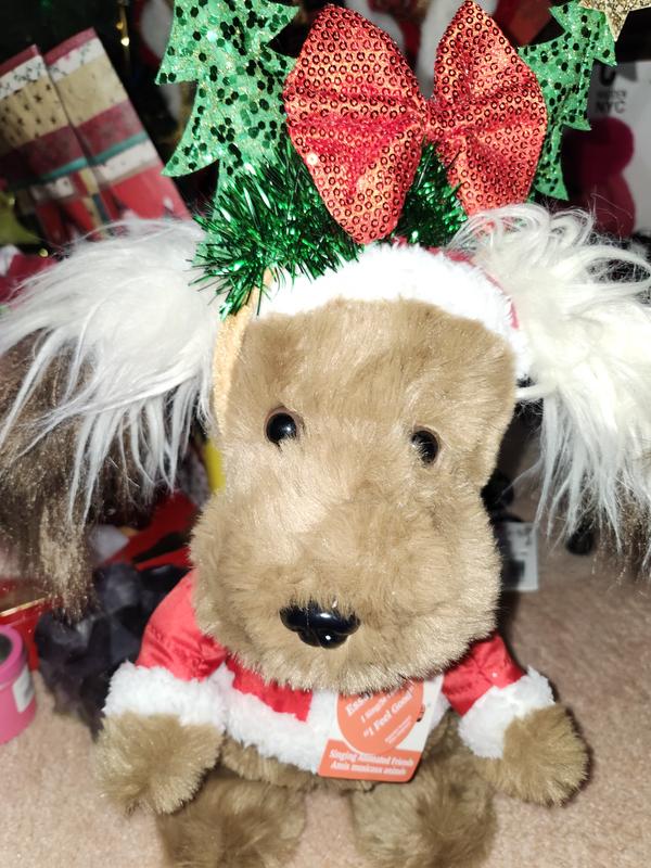 Photo - commentaire&nbsp;1