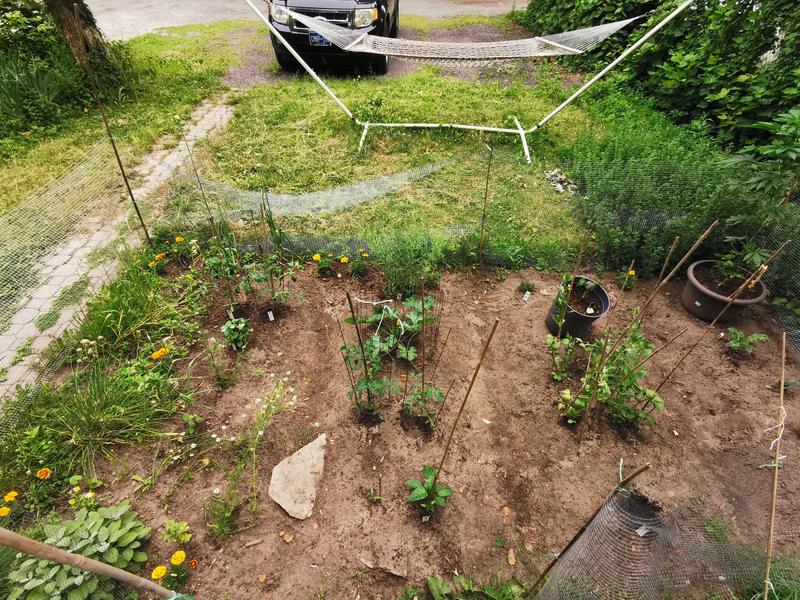 Photo - commentaire&nbsp;1.