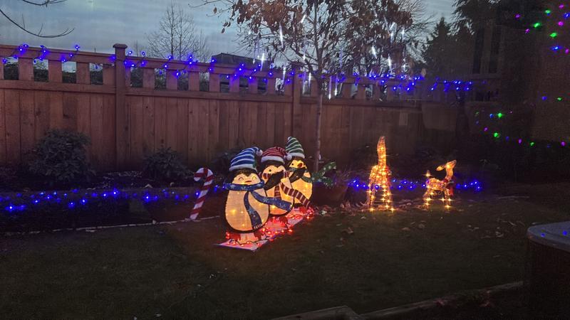 Photo - commentaire&nbsp;3.