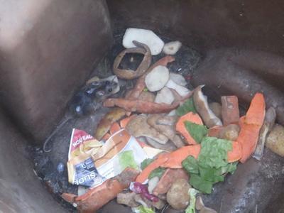 temporary home for the mouse :D it will be release in the forest when we catch more mice :D