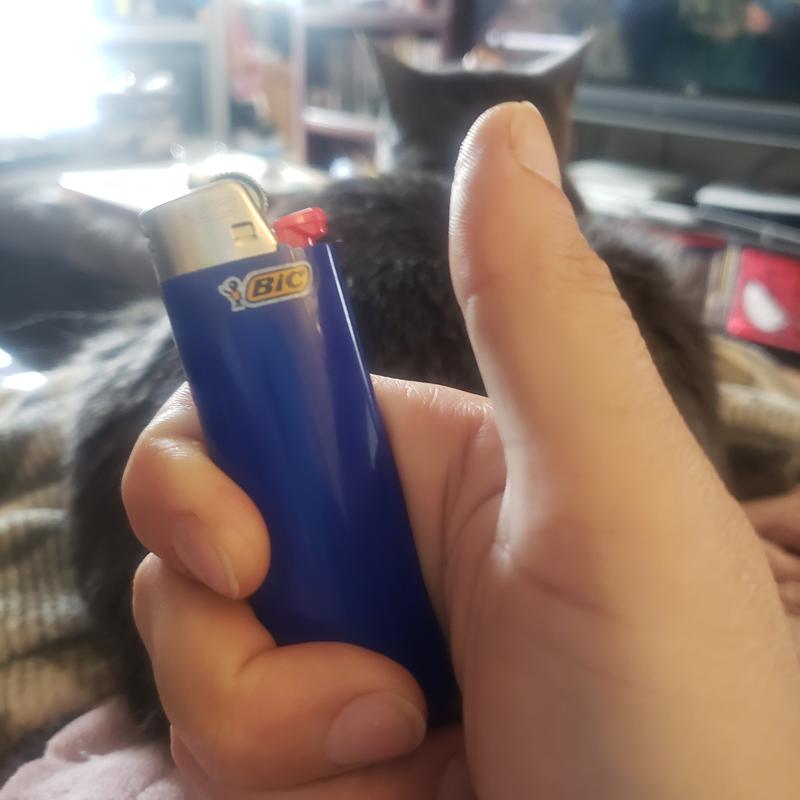 Photo - commentaire&nbsp;3