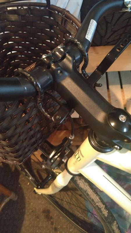 Attached to bike with support bar