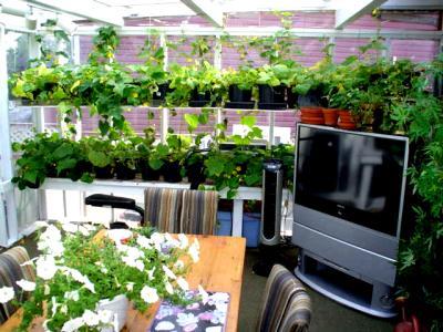 Photo - commentaire&nbsp;2.