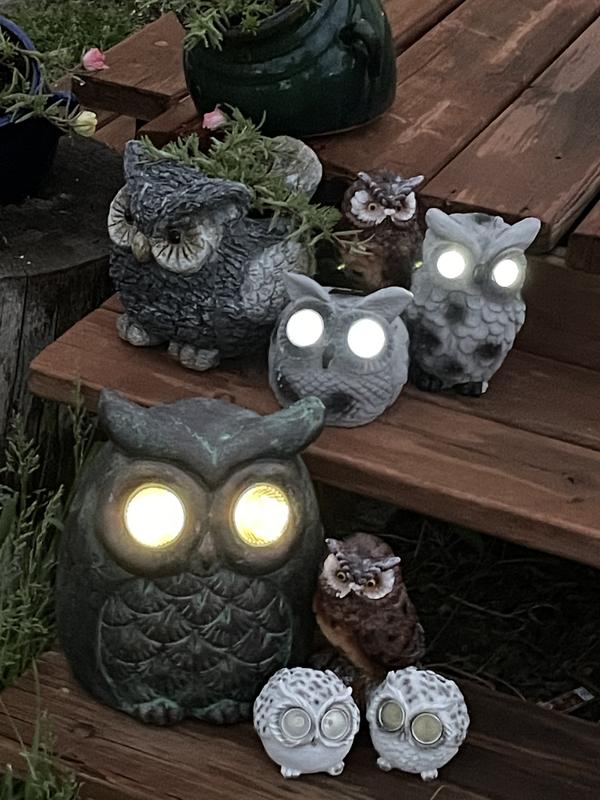 The whole hooting family