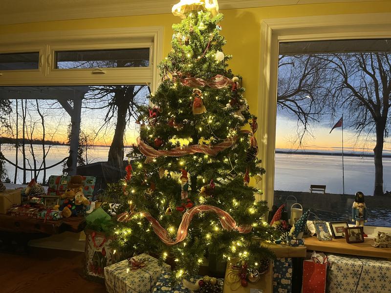 Photo - commentaire&nbsp;2