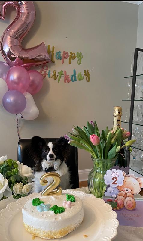 Doggie bday party