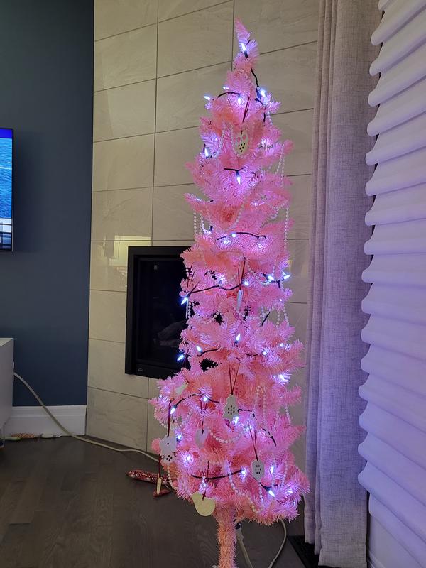 Photo - commentaire&nbsp;2.