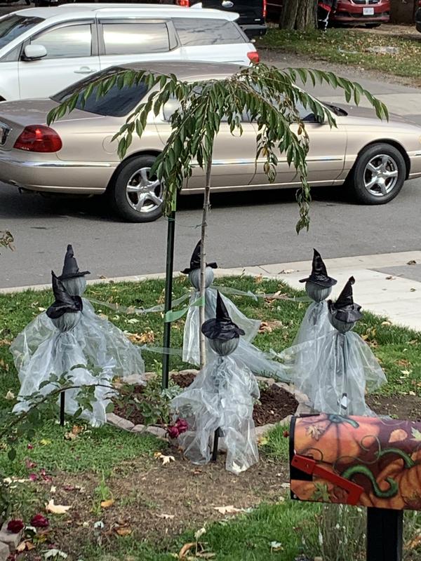 The Witches without their capes…