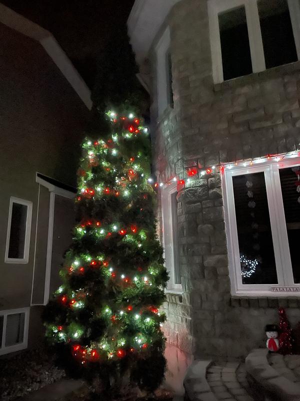 Photo - commentaire&nbsp;6