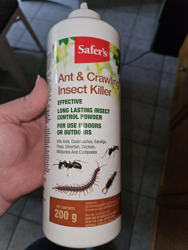 Photo - commentaire&nbsp;2.