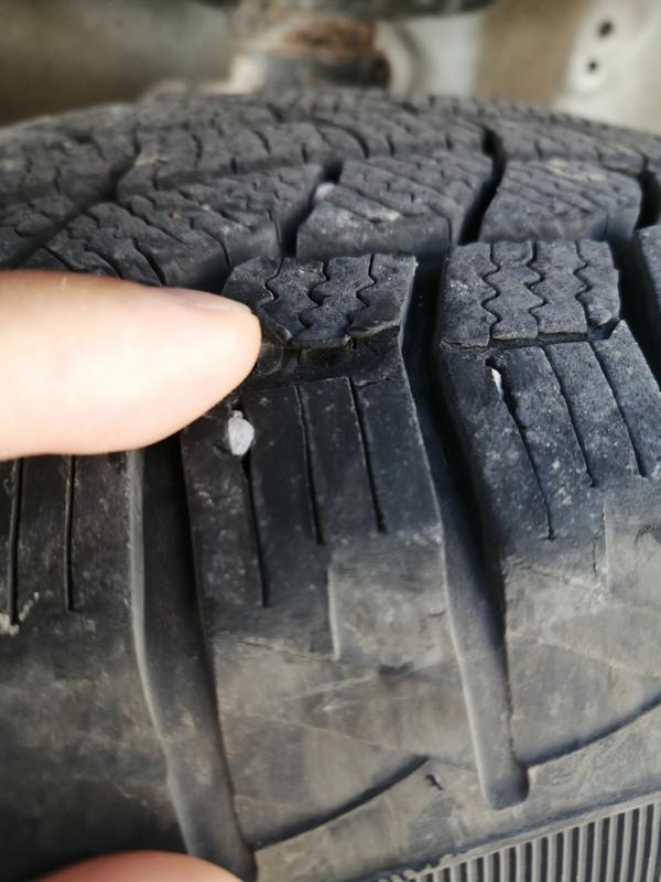 Photo - commentaire&nbsp;8.