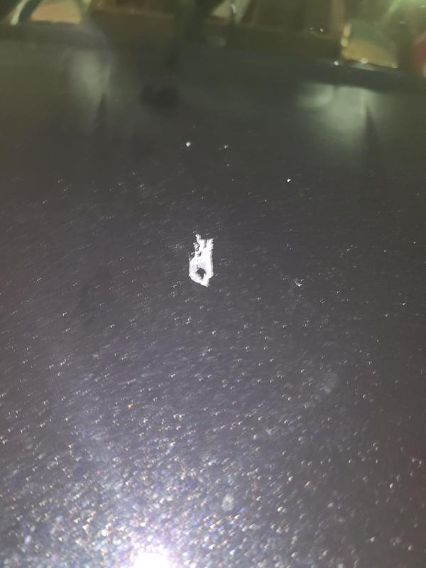 Sap on window and hood