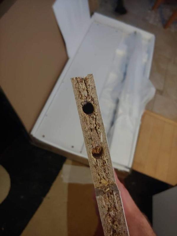 Photo - commentaire&nbsp;5.