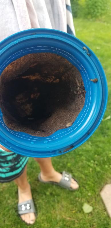 So disgusting but works so good!