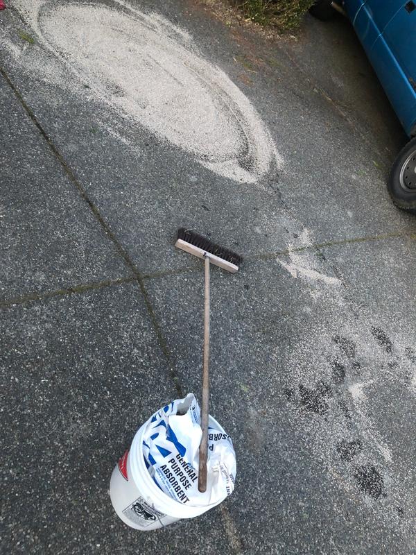 Had to spend another 60$ for clean up gear and new oil