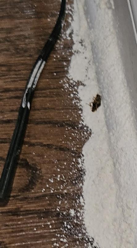 Photo - commentaire&nbsp;1.