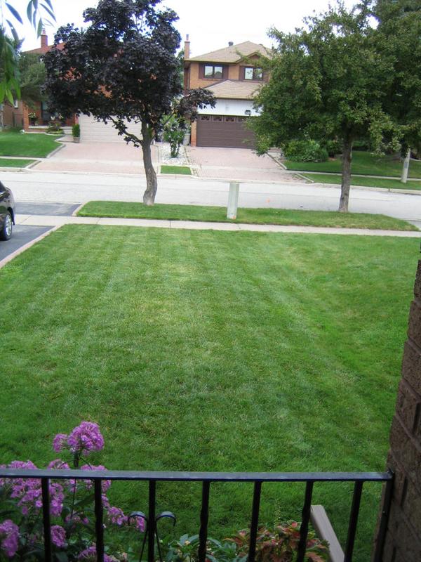 Front Lawn