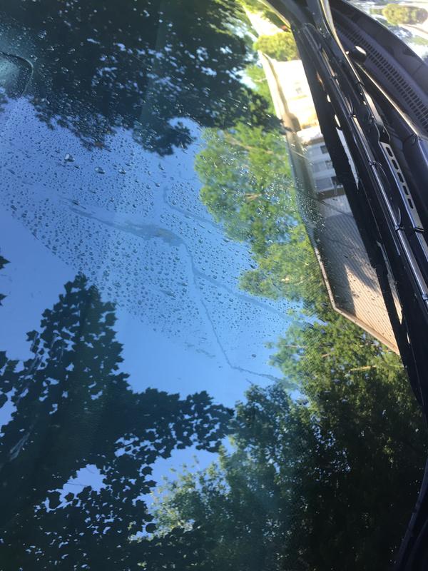 Photo - commentaire&nbsp;8.