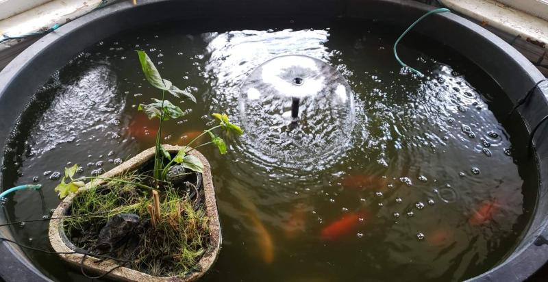 Looks soo much better. Thank you Pond Boss!