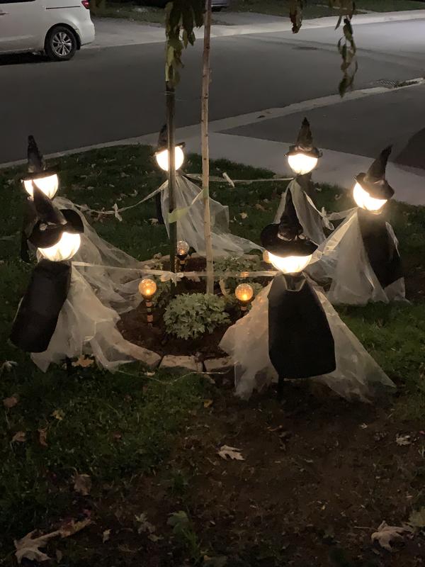 All aglow are midnight.