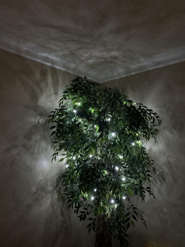 Our cozy corner with our beautiful LED lights