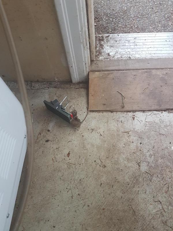 Photo - commentaire&nbsp;2.