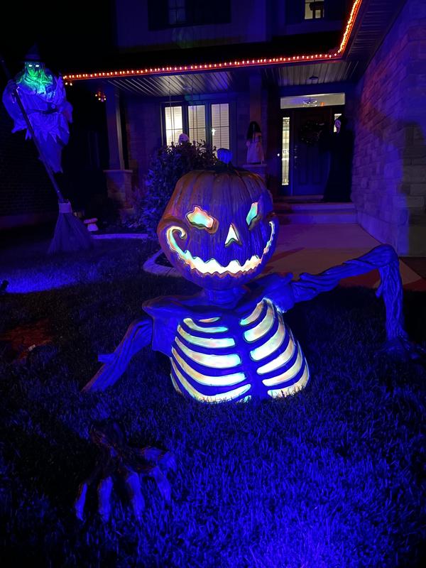 Photo - commentaire&nbsp;2