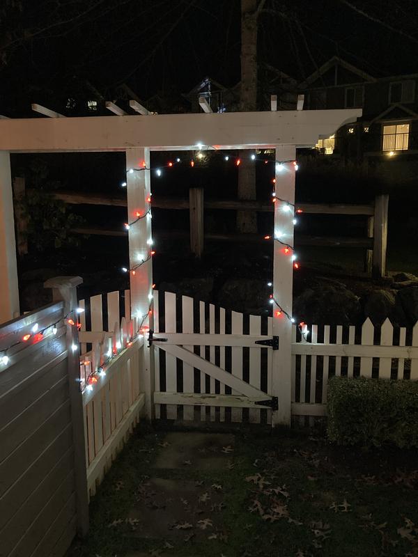 Photo - commentaire&nbsp;5