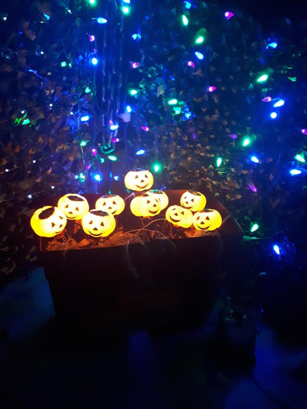 Photo - commentaire&nbsp;8