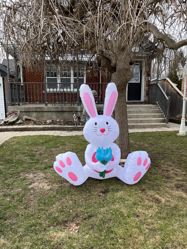 Photo - commentaire&nbsp;2