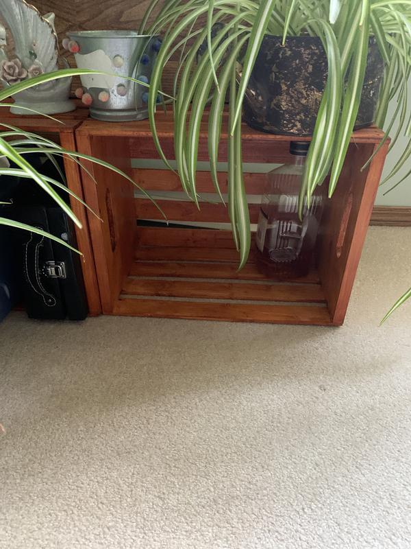 Photo - commentaire&nbsp;5