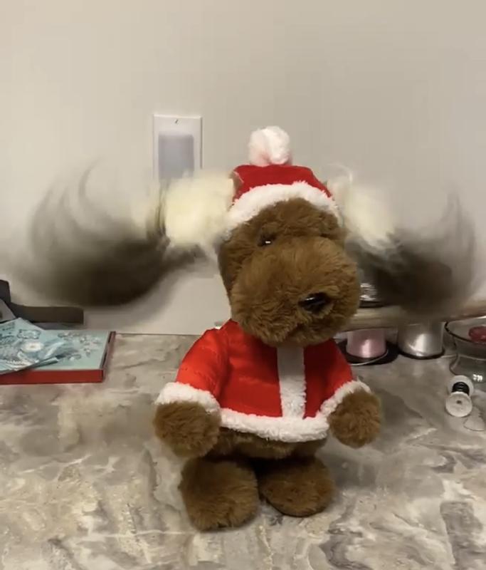 James Hound-dog Brown