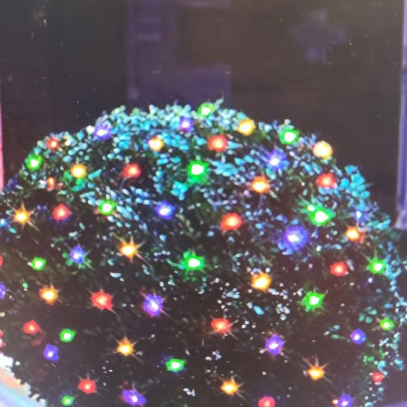 Photo - commentaire&nbsp;8