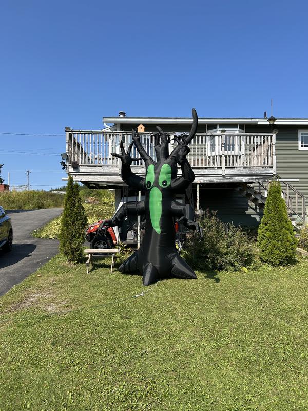 Photo - commentaire&nbsp;2.