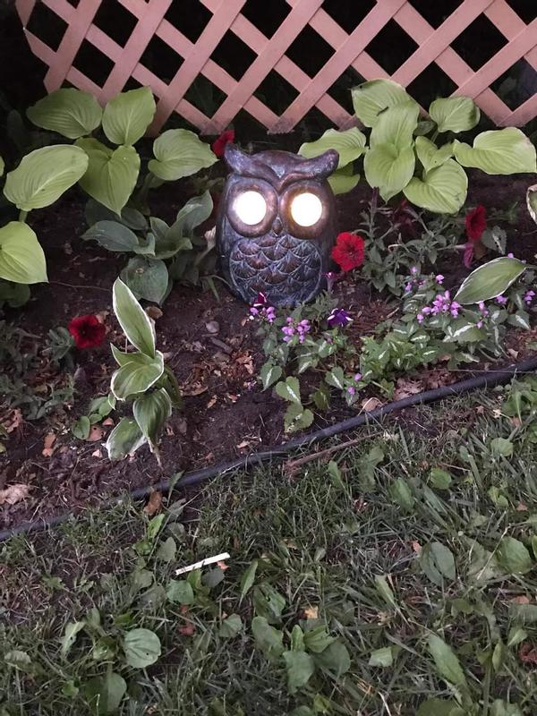 Photo - commentaire&nbsp;1.