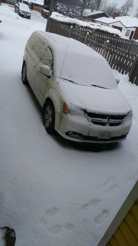 Photo - commentaire&nbsp;8.