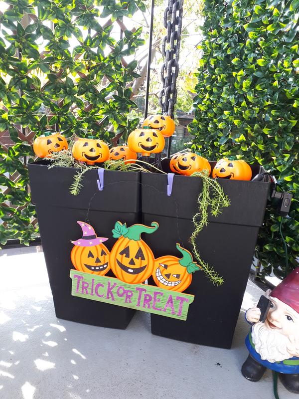 Photo - commentaire&nbsp;7