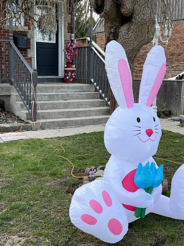 Photo - commentaire&nbsp;1