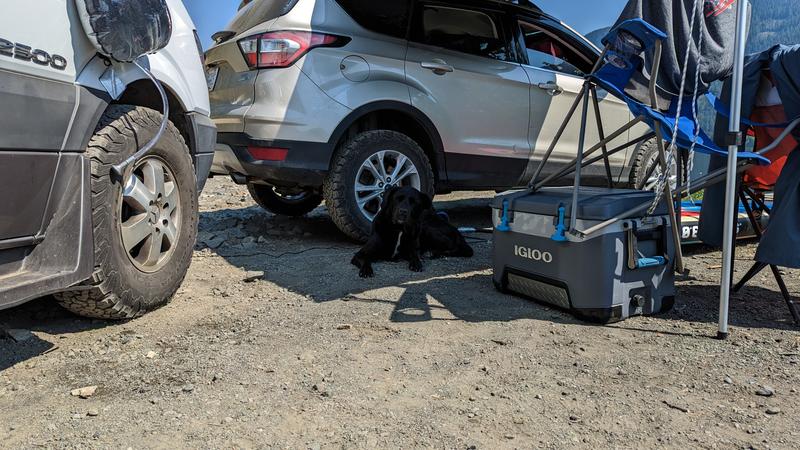 Photo - commentaire&nbsp;6.