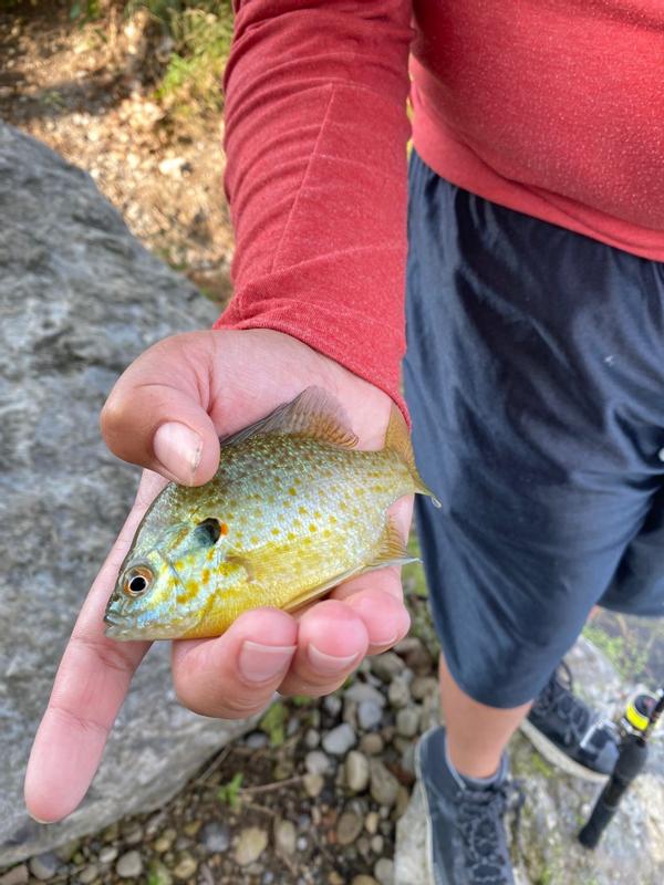 Photo - commentaire&nbsp;1.