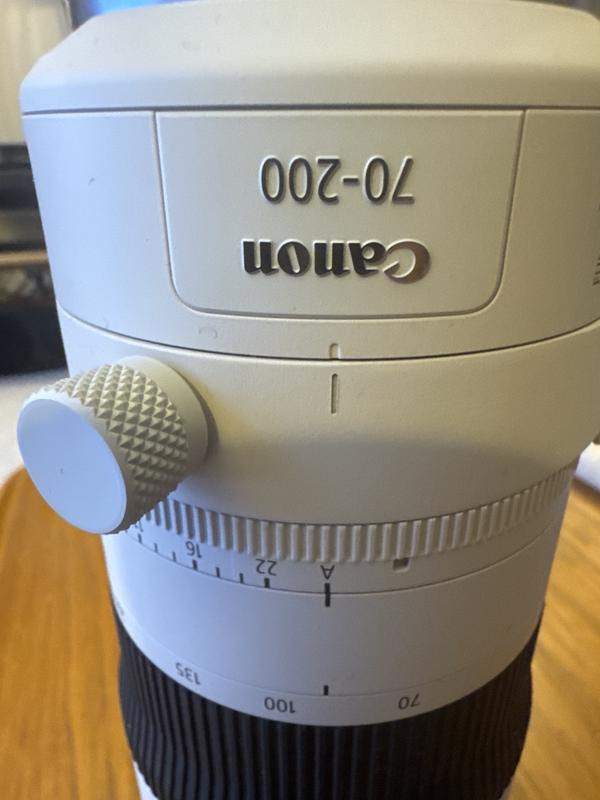 【超美品】CANON RF70-200mm F2.8 L IS USM RF70-200mm F2.8 L IS USM Telephoto lens | Canon Canada Shop