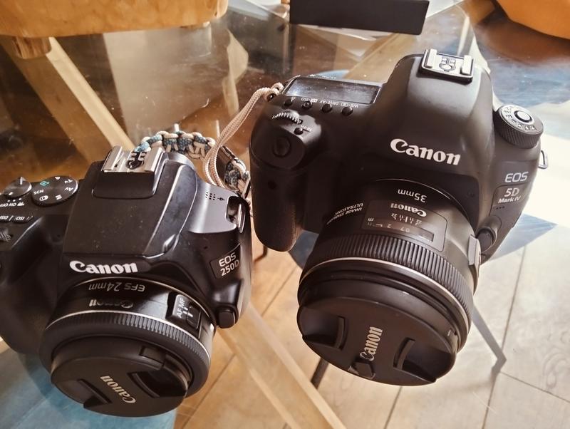 Kopen Canon EOS 5D Mark IV-camerabehuizing met Canon Log — Canon
