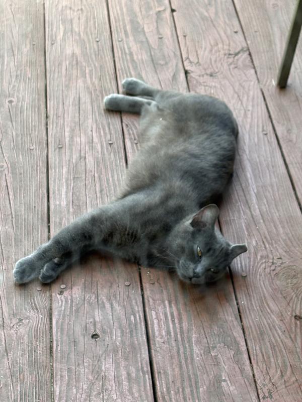 Little Girl loving life