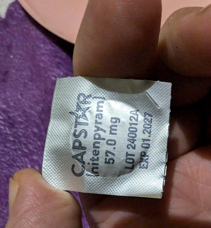 Review photo 7.