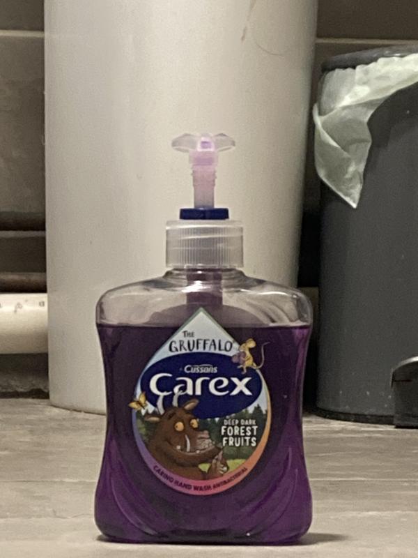 Carex Gruffalo Deep Dark Forest Fruits Antibacterial Hand Wash