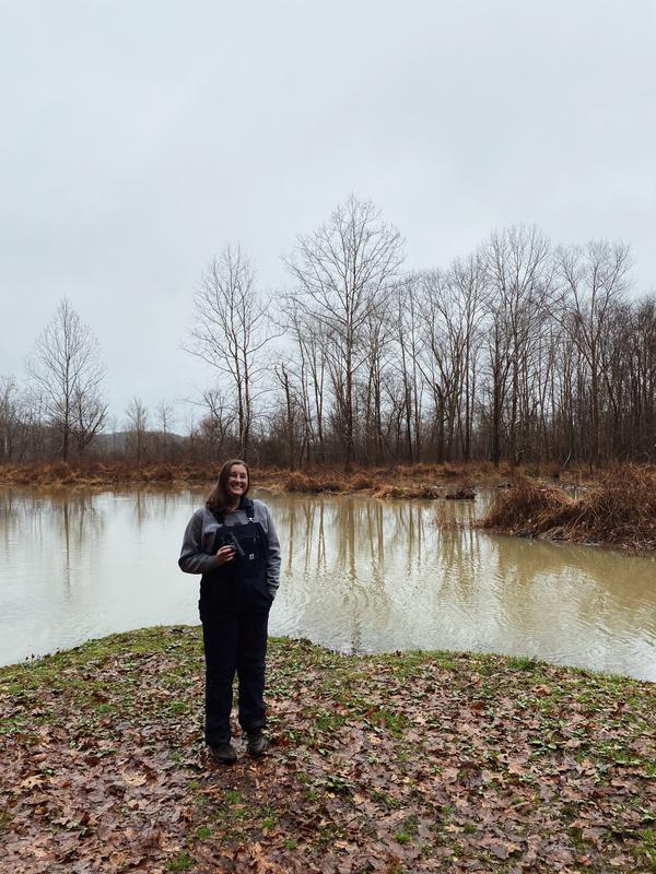 Perfect for doing annual bird counts!